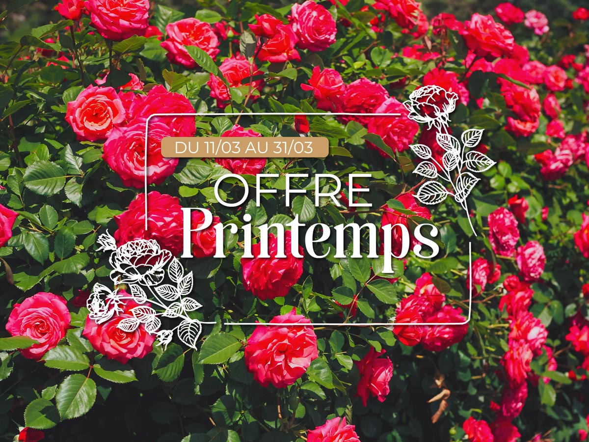 https://www.meillandrichardier.com/media/wysiwyg/conseils-inspi/landing-offre-printemps/encart1.jpg