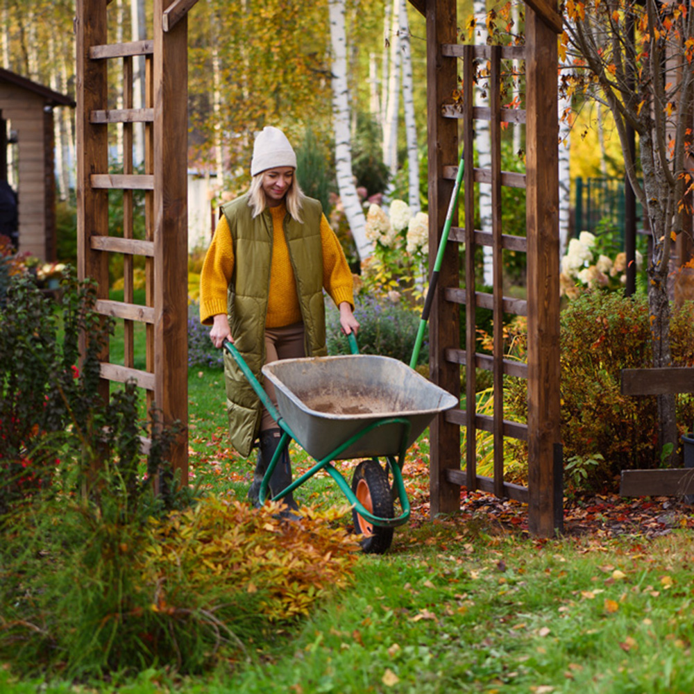 Que faire en octobre au jardin ?