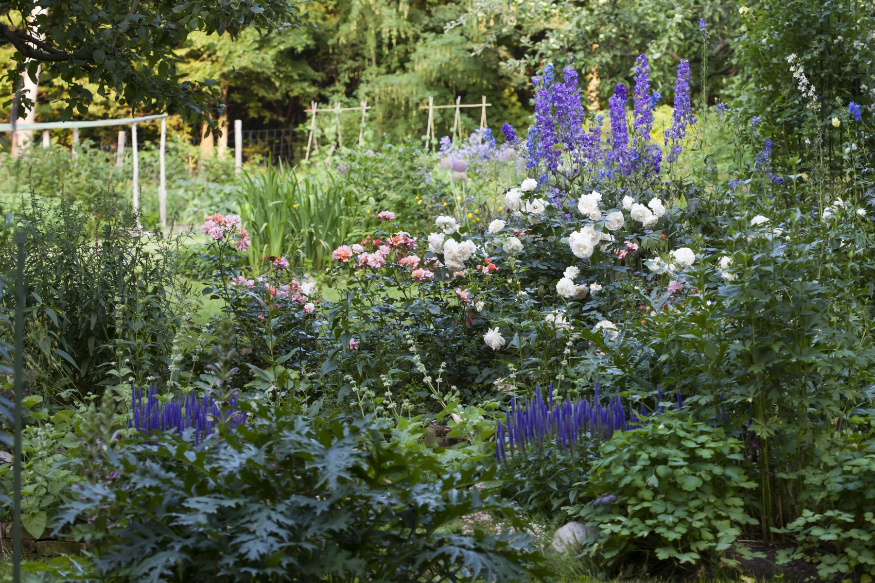 /media/wysiwyg/conseils-inspi/pagechapeauconseilsplante/ambiance_mixed-border_rosiers_vivaces_shutterstock_416684392.jpg