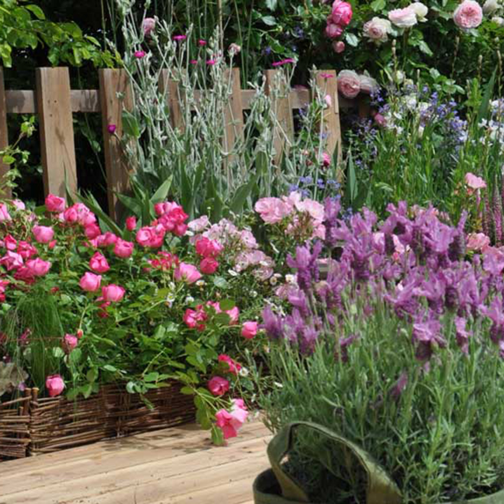 Canicule, comment aider ses plantes ?