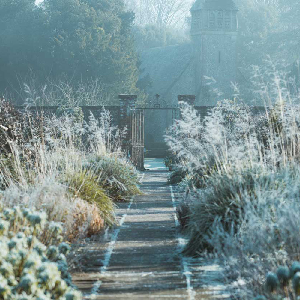 Vague de froid, comment protéger vos plantes ?