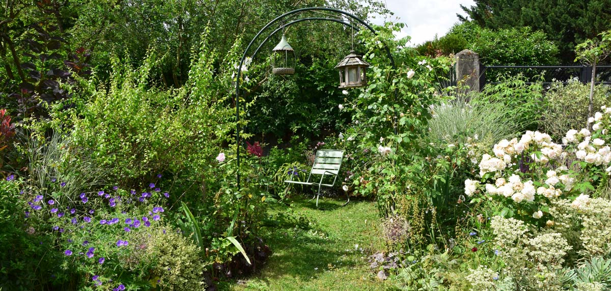 Arbustes biodiversité