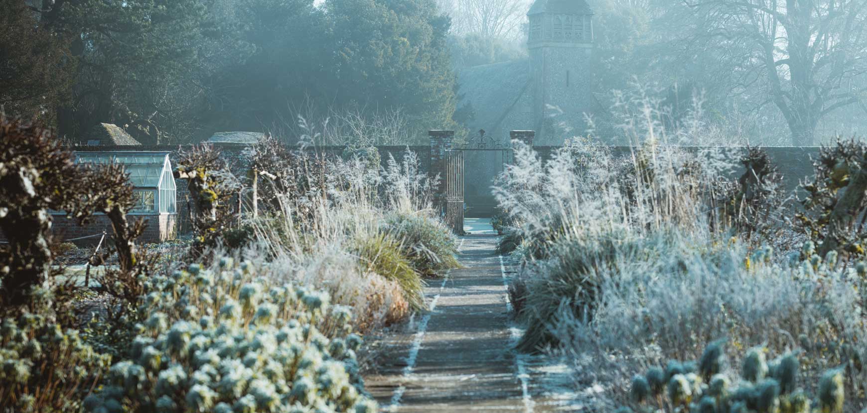 Comment protéger vos arbres, arbustes et vivaces pour l'hiver