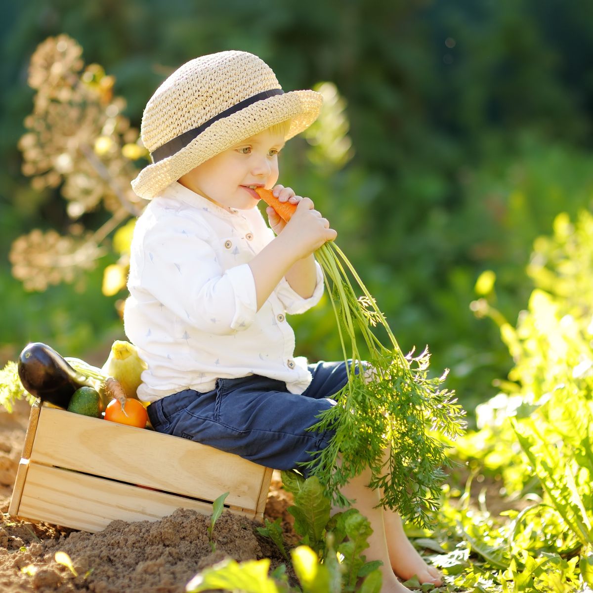 /media/wysiwyg/enfant_carottes.jpg /media/wysiwyg/enfant_carottes.jpg
