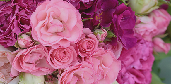 Rosiers PERFUMELLA ®