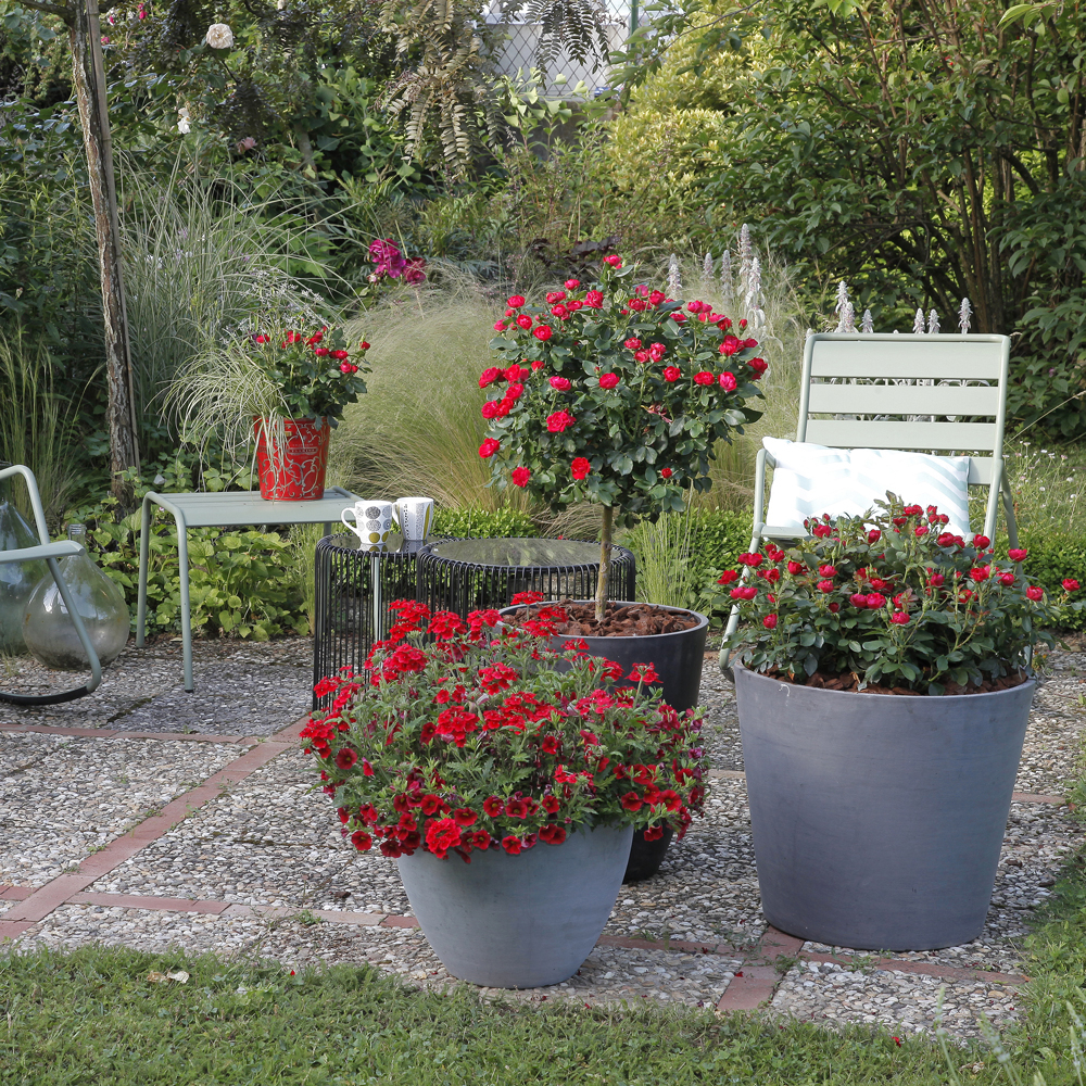 Créez votre jardin