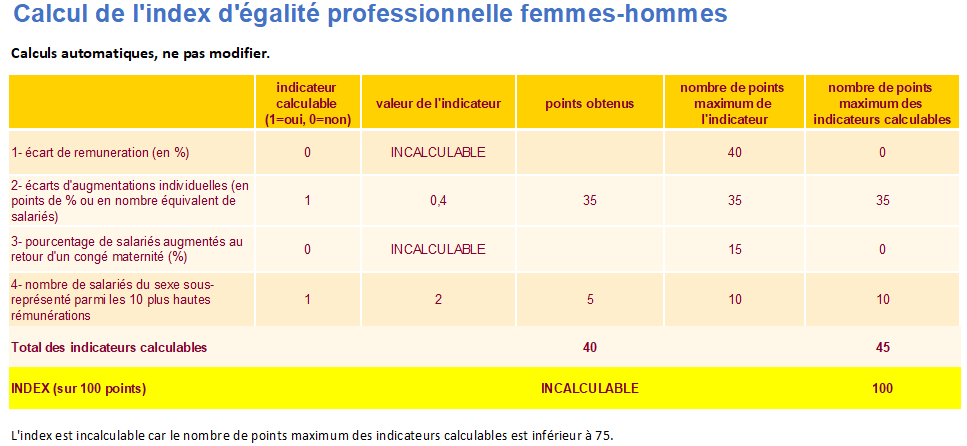Index d’égalité professionnelle femmes-hommes