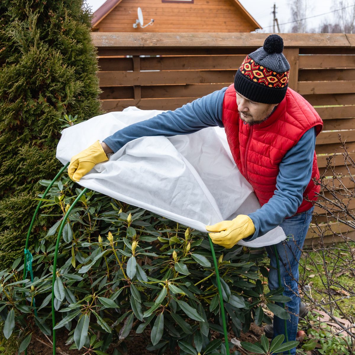 /media/wysiwyg/homme_protection_jardin.jpg /media/wysiwyg/homme_protection_jardin.jpg